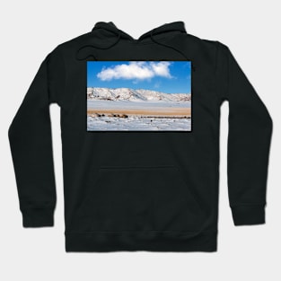 Ger Camp. Hoodie